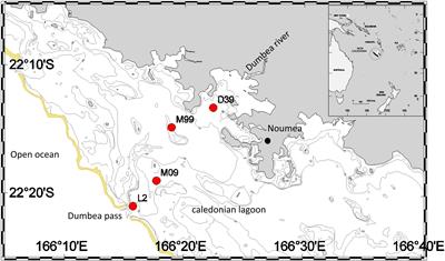 Seasonal Shifts in Diazotrophs Players: Patterns Observed Over a Two-Year Time Series in the New Caledonian Lagoon (Western Tropical South Pacific Ocean)